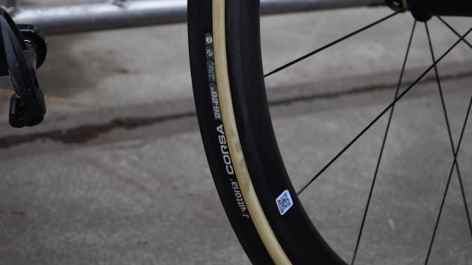 A Giant TCR com pintura customizada de Greg Van Avermaet (7)