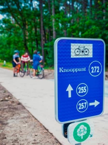 em-limburgo-e-possível-atravessar-um-lago-de-bicicleta-e-pedalar-sobre-as-arvores
