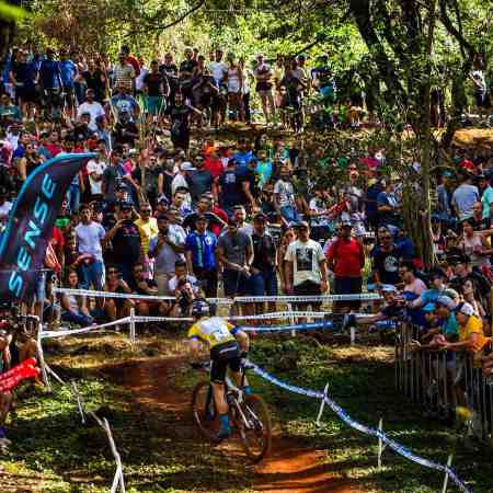 cimtb