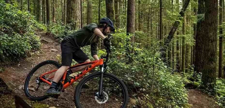 Mantenha as Trilhas Limpas Trek