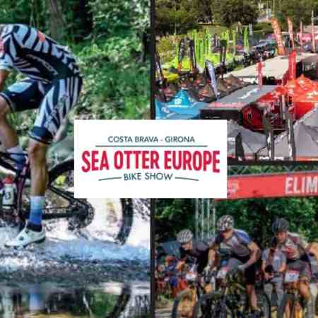 sea otter europe