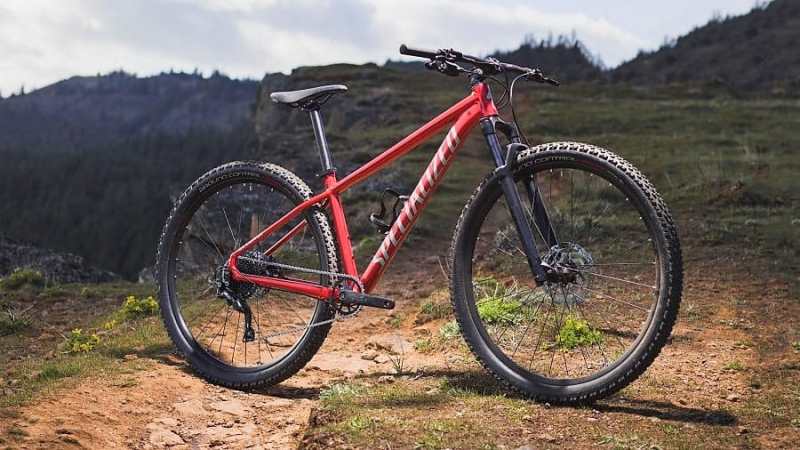 Nova Specialized Rockhopper 2021