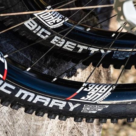 schwalbe