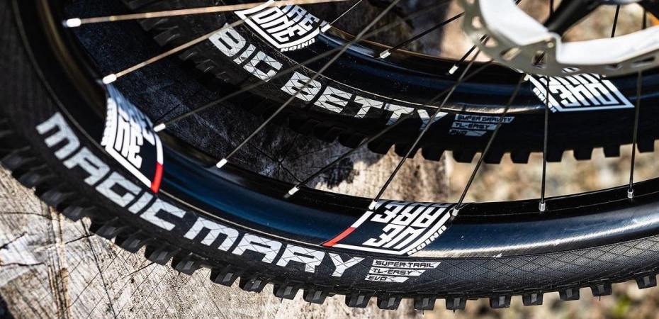 schwalbe
