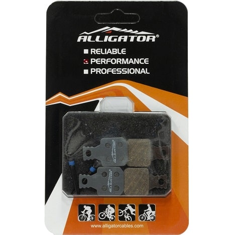 Alligator