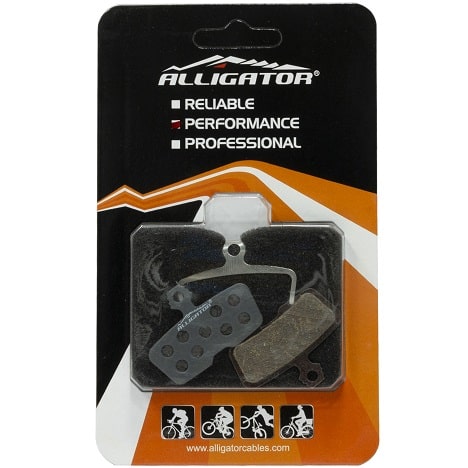 Alligator