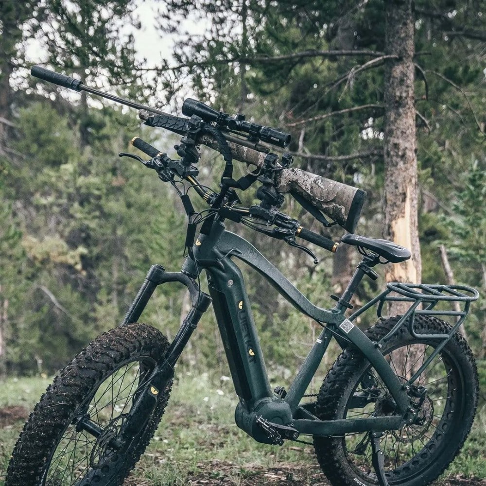 e-mtb