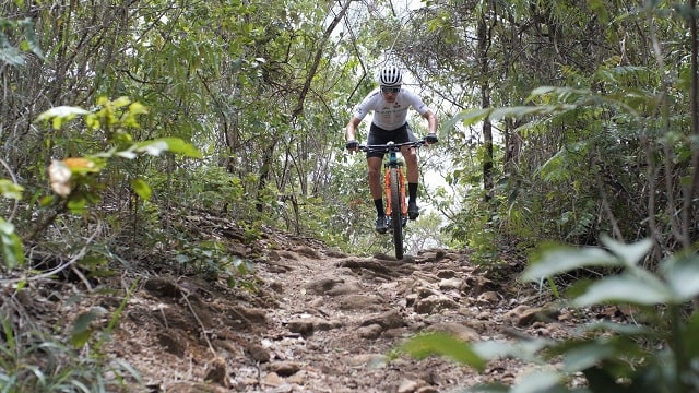 Luiz Henrique Cocuzzi