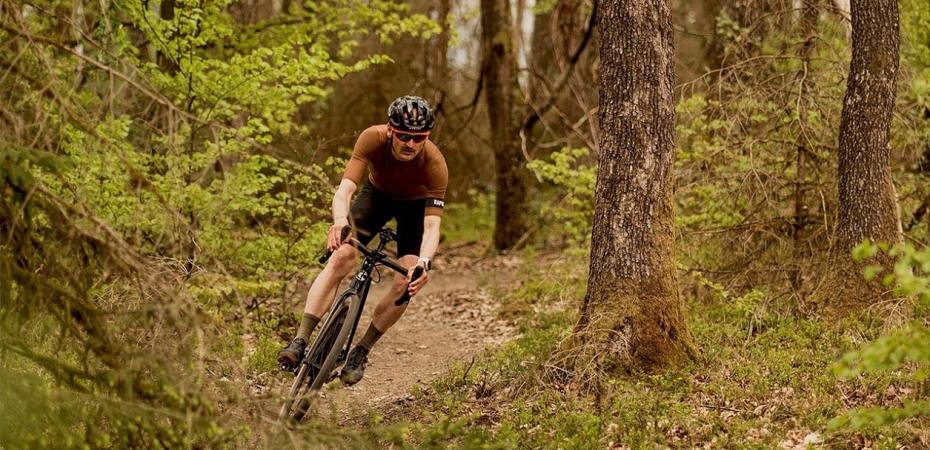 Schwalbe