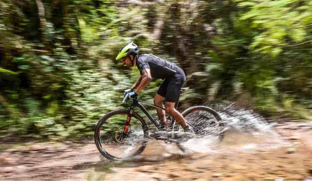 World Trail Races