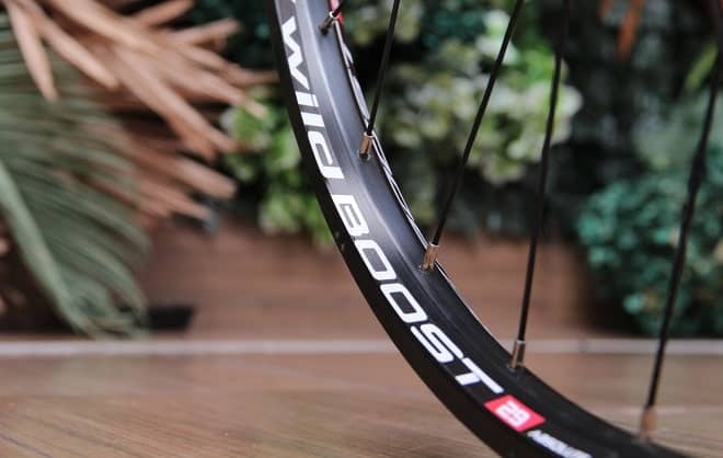 rodas absolute