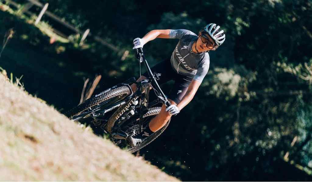 specialized