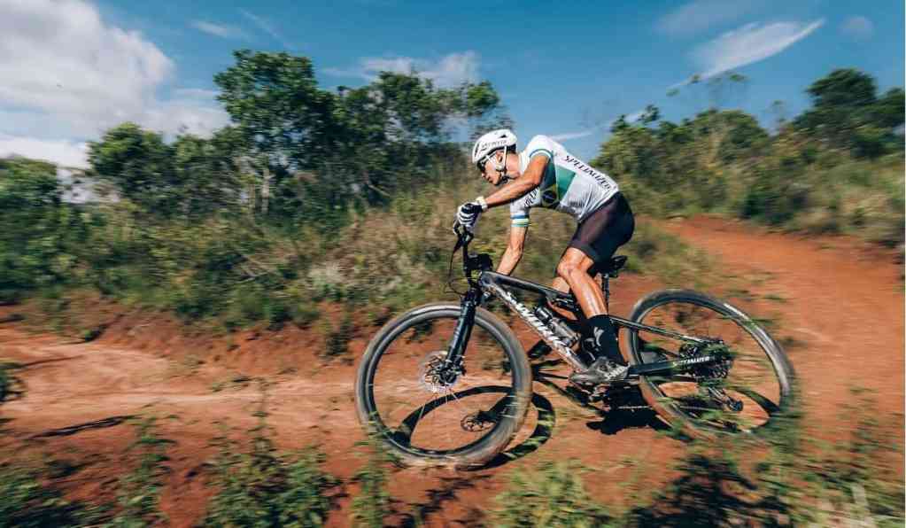 specialized