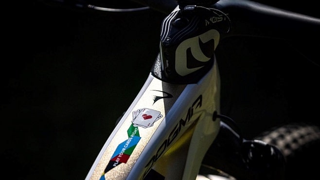 Pinarello