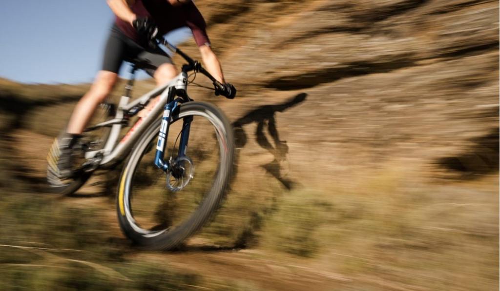 RockShox SID
