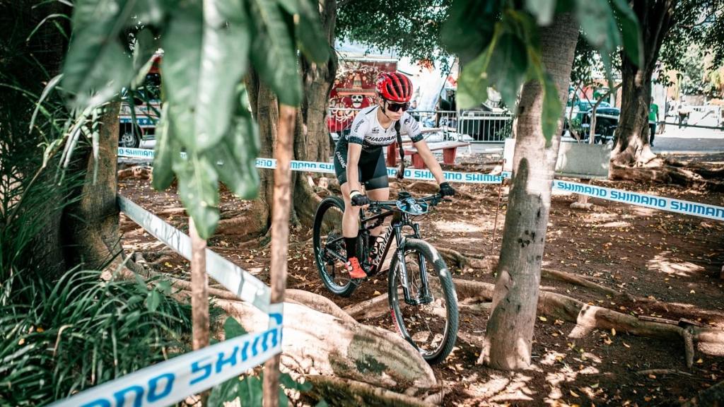 shimano fest