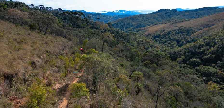 World Trail Races