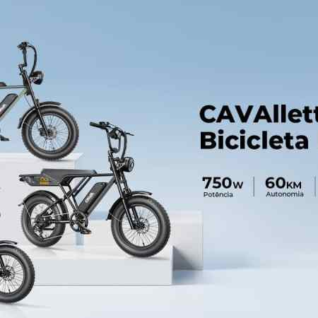 Cavalletta AE6