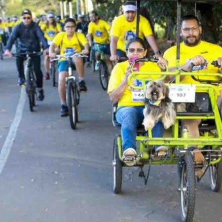 Festival Vamos Passear